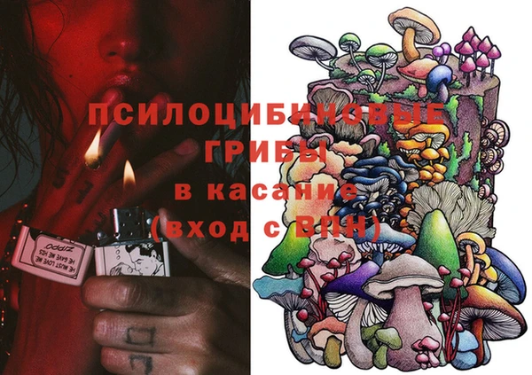 дживик Лагань