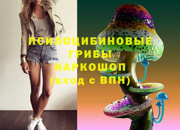 мдпв Липки