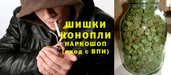 молекула духа Лихославль