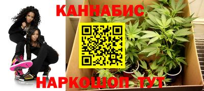 хмурый Дубна