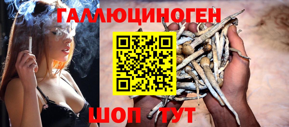 Псилоцибиновые грибы Psilocybe Минеральные Воды