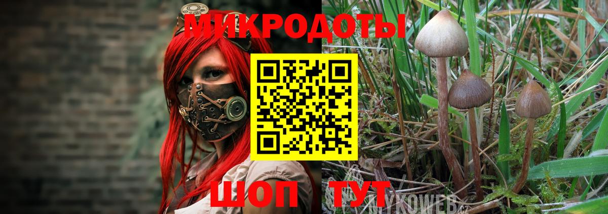 Псилоцибиновые грибы прущие грибы  Галлюциногенные грибы Magic Shrooms  где найти   Минеральные Воды  Вход с VPN 