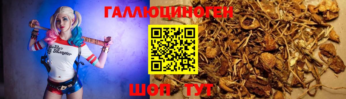 Псилоцибиновые грибы Magic Shrooms  Минеральные Воды 