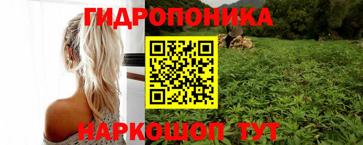 МАРИХУАНА семена  Вход с VPN  Марихуана Bruce Banner  Бошки марихуана семена  Минеральные Воды 